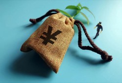 揭秘提升信用额度攻略与策略