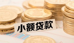 东莞私借身份证贷款平台-东莞私借私人借贷不查征信-东莞私借空放借钱